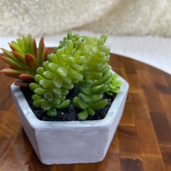 Faux succulents, 3-4 in 2”H hexagon shaped pots (2 available for purchase) - Picture 7 of 14